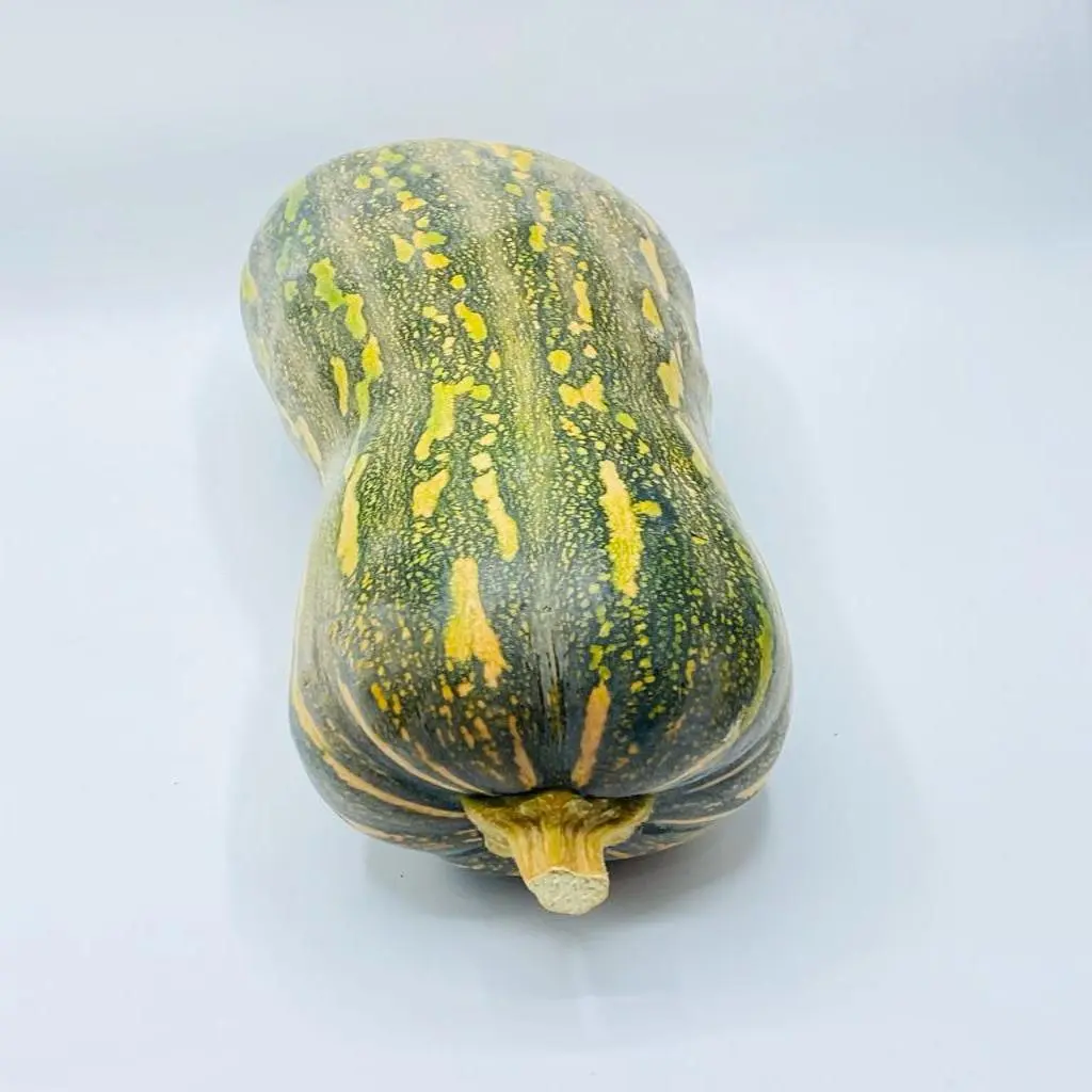 Dabbah Squash